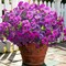 Fake Flowers 16Pcs Artificial Pansy Silk Flowers UV Resistant for Outdoor Planters, Realistic Faux Pansies for Porch Patio Window Box Decor (Deep Purple & Light Purple)